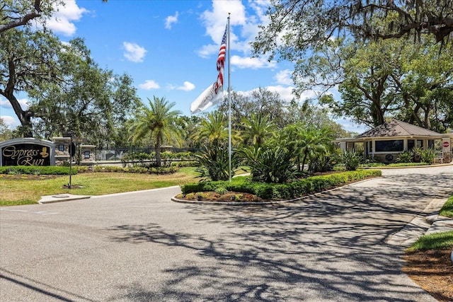 888 Royal Birkdale Dr, Tarpon Springs, FL 34688 - view of street featuring curbs