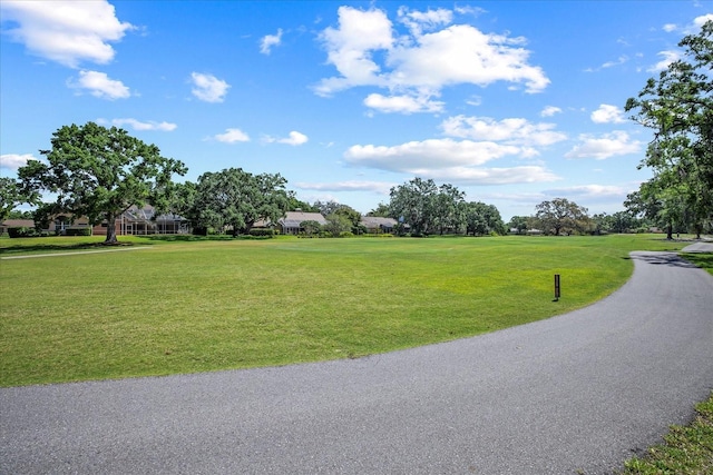888 Royal Birkdale Dr, Tarpon Springs, FL 34688 - view of home's community with a lawn