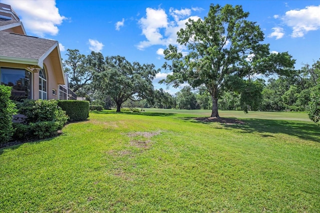 888 Royal Birkdale Dr, Tarpon Springs, FL 34688 - view of yard
