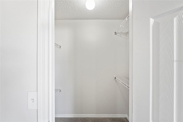 8461 Apple Orchard Rd, Spring Hill, FL 34608 - view of spacious closet