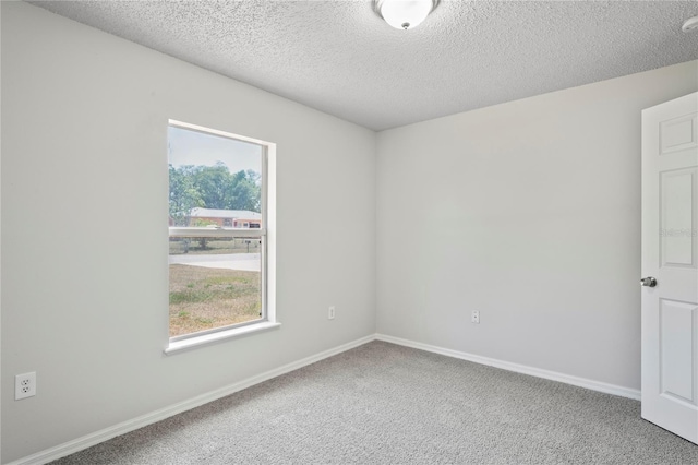 8461 Apple Orchard Rd, Spring Hill, FL 34608 - spare room featuring plenty of natural light, carpet flooring, a textured ceiling, and baseboards