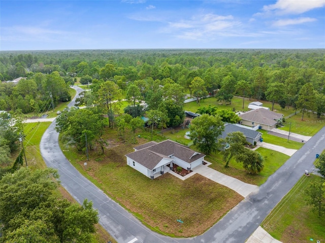 12331 Fulmar Rd, Weeki Wachee, FL 34614 - drone / aerial view of a forest