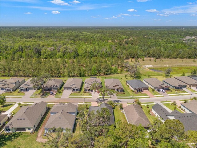 4910 Southern Valley Loop, Brooksville, FL 34601 - photo 6