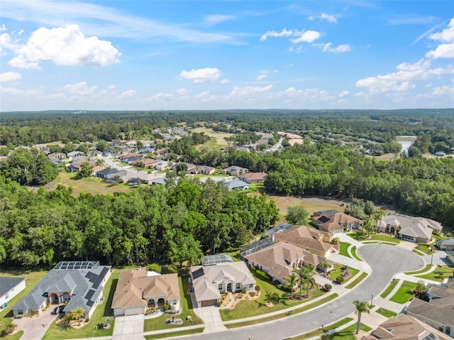 4080 Gevalia Dr, Brooksville, FL 34604 - bird's eye view featuring a residential view and a view of trees