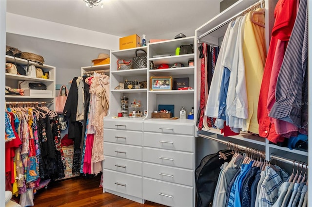 520 Lafayette Blvd, Oldsmar, FL 34677 - spacious closet featuring wood finished floors
