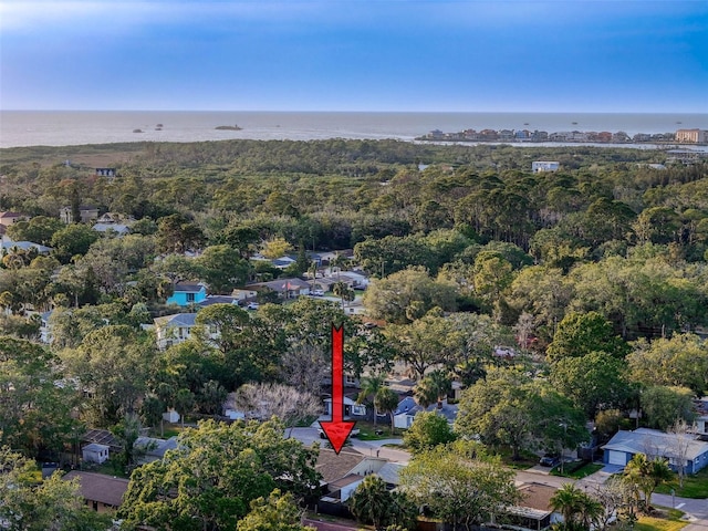 birds eye view of property with a water view and a forest view