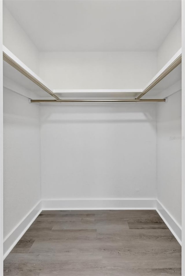2175 Edythe Dr, Dunedin, FL 34698 - walk in closet featuring wood finished floors