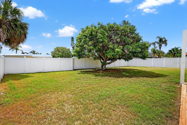 2175 Edythe Dr, Dunedin, FL 34698 - view of fenced backyard