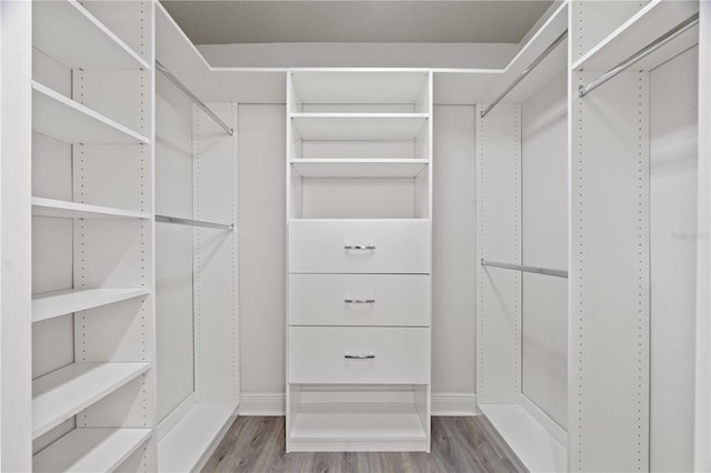 walk in closet featuring wood finished floors