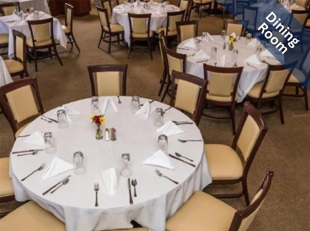 view of carpeted dining room