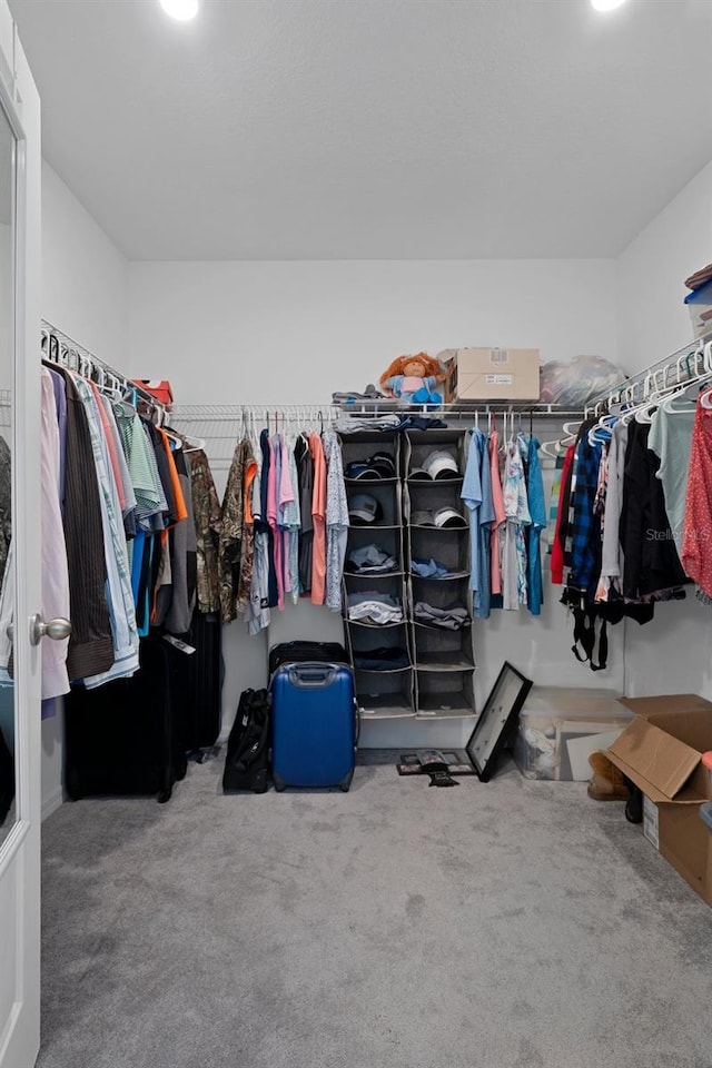 733 Old Windsor Way, Spring Hill, FL 34609 - walk in closet featuring carpet floors