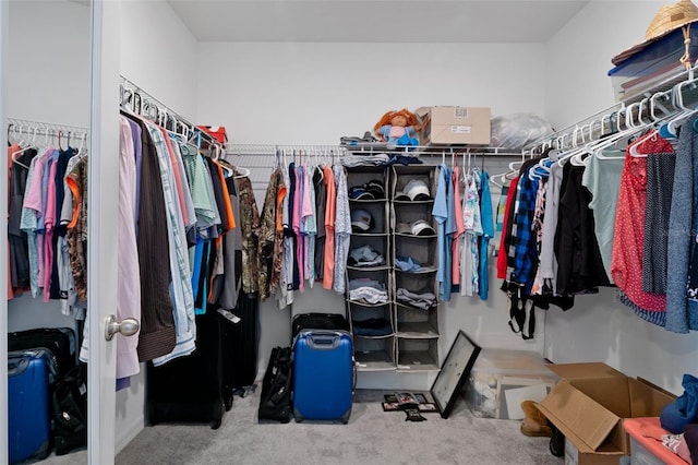 733 Old Windsor Way, Spring Hill, FL 34609 - walk in closet featuring carpet floors