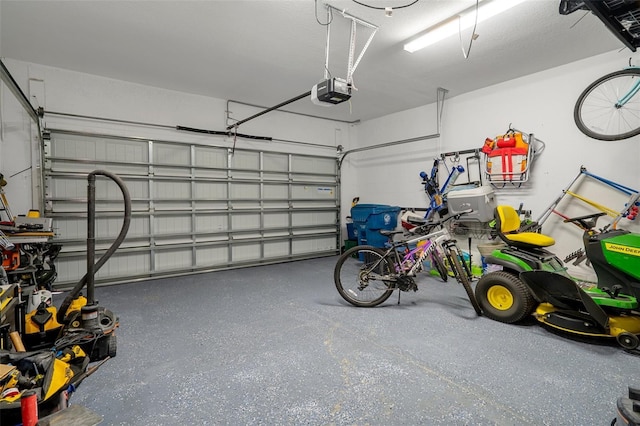 733 Old Windsor Way, Spring Hill, FL 34609 - garage featuring a garage door opener