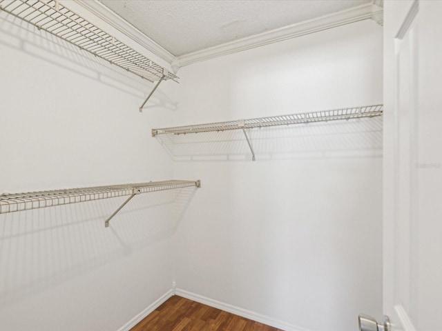 spacious closet with dark wood-type flooring