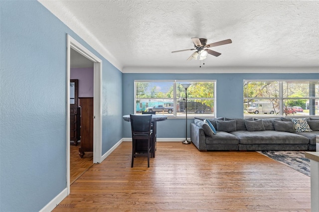 800 N Walton Ave, Tarpon Springs, FL 34689 - photo 10