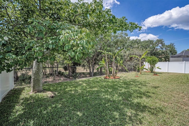 view of yard with a fenced backyard