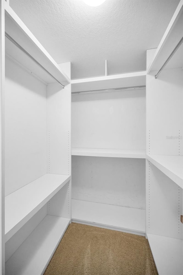 spacious closet featuring carpet floors