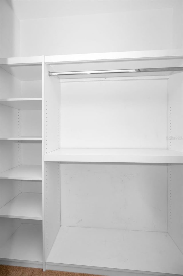 10106 Tolman Dr, Hudson, FL 34667 - view of closet