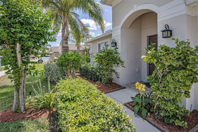 10106 Tolman Dr, Hudson, FL 34667 - entrance to property with stucco siding
