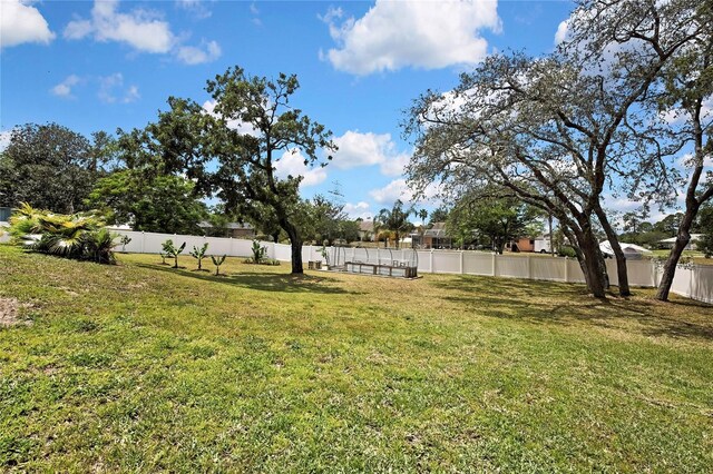 13373 Lawrence St, Spring Hill, FL 34609 - view of yard with fence