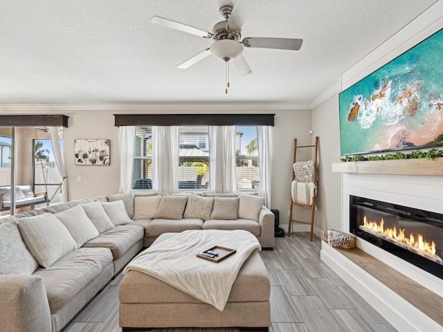 8630 Campus Woods Way, New Port Richey, FL 34655 - living room featuring crown molding, a glass covered fireplace, baseboards, light wood-type flooring, and a textured ceiling