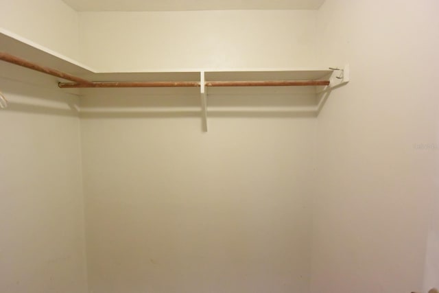 12210 Quail Run Row, Hudson, FL 34667 - view of walk in closet