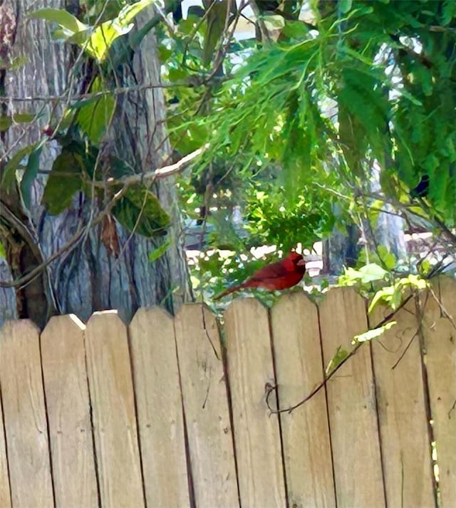 details featuring fence