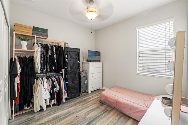 21167 Pleasant Plains Pkwy, Land O Lakes, FL 34637 - bedroom with ceiling fan, wood finished floors, and a closet