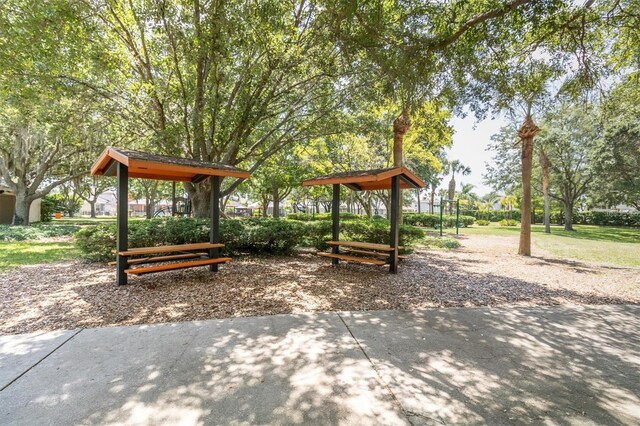 1810 Winsloe Dr, Trinity, FL 34655 - view of surrounding community