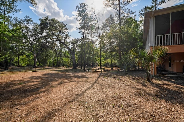 view of yard