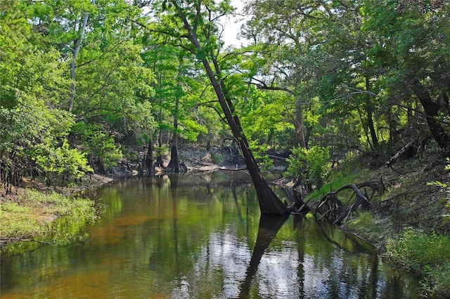 property view of water featuring a forest view