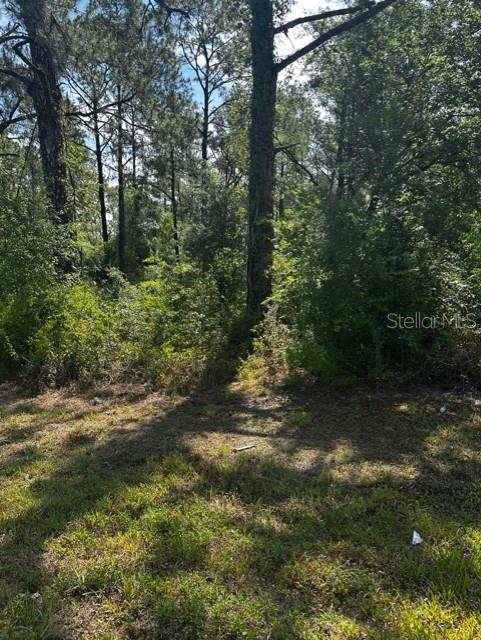 0 Treiman Blvd, Webster, FL 33597