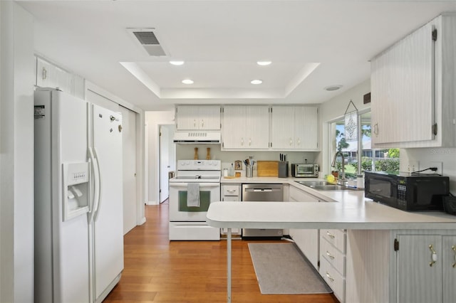 12906 Sandburst Ln, Hudson, FL 34667 - kitchen with a tray ceiling, visible vents, a sink, under cabinet range hood, and white appliances