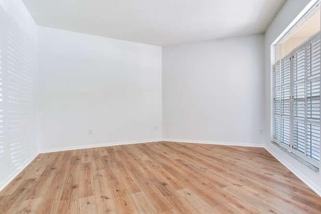 15906 Prince William Pl, Odessa, FL 33556 - empty room with light wood finished floors and baseboards