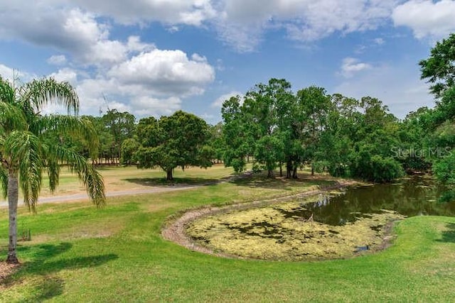 15906 Prince William Pl, Odessa, FL 33556 - view of community with a yard and a water view