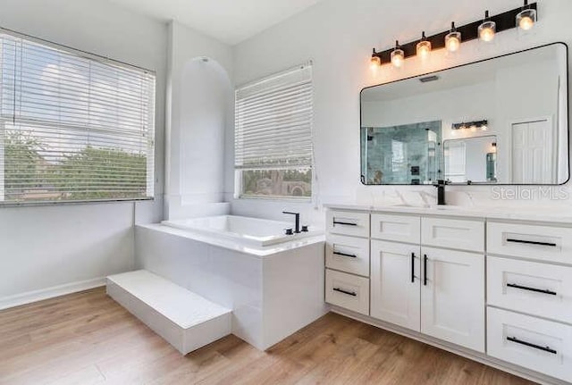 15906 Prince William Pl, Odessa, FL 33556 - bathroom with wood finished floors, a stall shower, a bath, and vanity