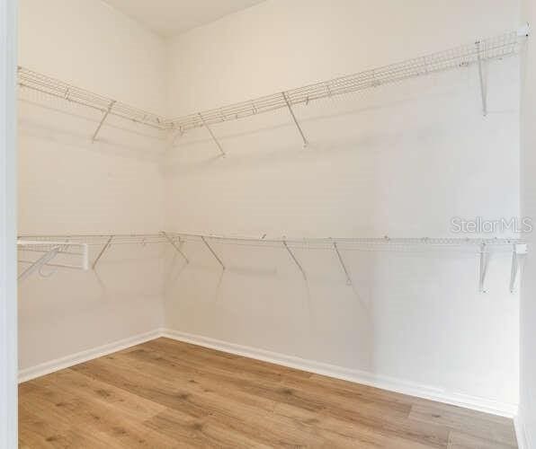 15906 Prince William Pl, Odessa, FL 33556 - walk in closet with wood finished floors