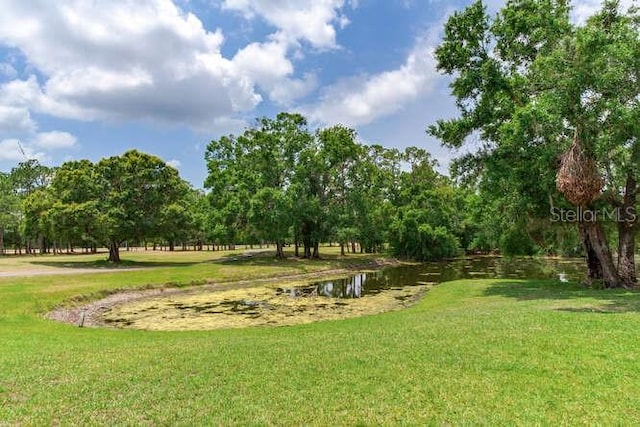 15906 Prince William Pl, Odessa, FL 33556 - view of property's community featuring a water view and a yard