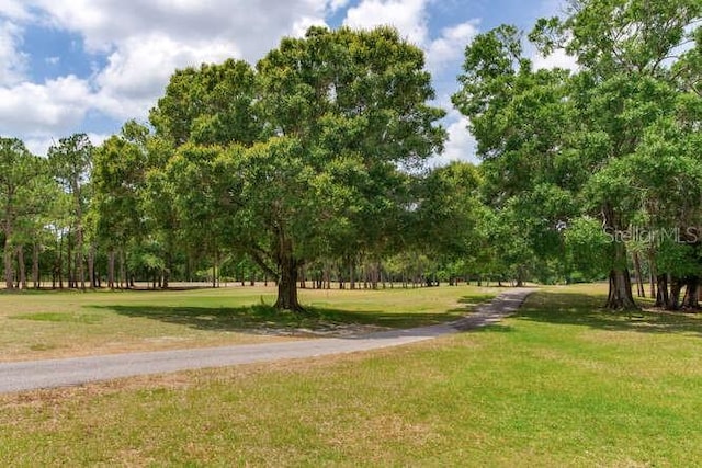 15906 Prince William Pl, Odessa, FL 33556 - view of community featuring a yard
