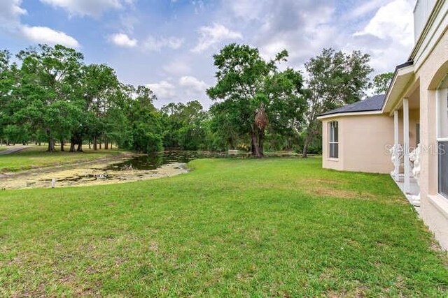 15906 Prince William Pl, Odessa, FL 33556 - view of grassy yard