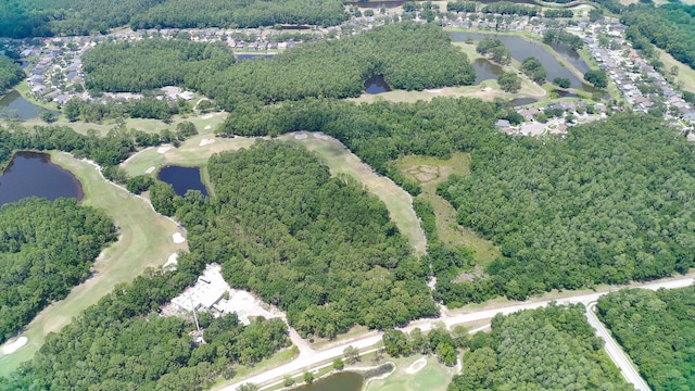 15906 Prince William Pl, Odessa, FL 33556 - view of property location featuring a nearby body of water