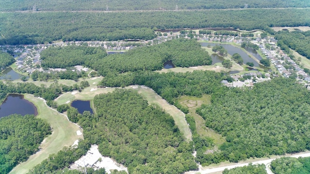 15906 Prince William Pl, Odessa, FL 33556 - aerial view of property's location featuring a nearby body of water and a forest