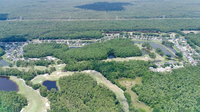 15906 Prince William Pl, Odessa, FL 33556 - aerial view of a nearby body of water and a heavily wooded area
