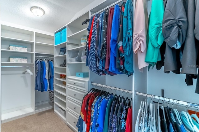 spacious closet featuring carpet