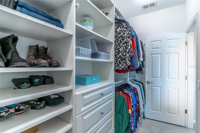 view of spacious closet