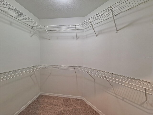 19855 Ellendale Dr, Land O Lakes, FL 34638 - walk in closet featuring carpet floors