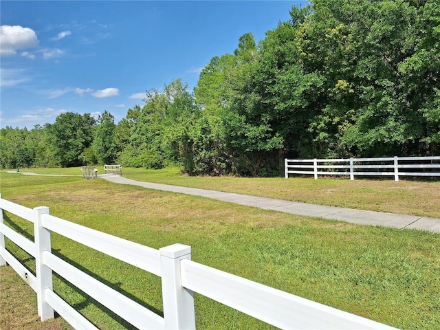 19855 Ellendale Dr, Land O Lakes, FL 34638 - view of yard