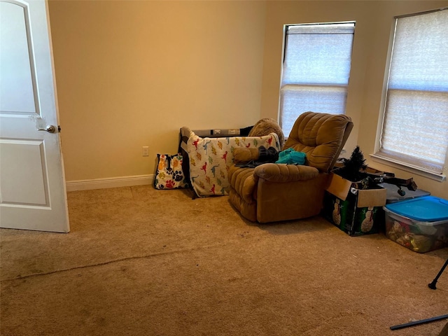 9007 49th Ave E, Palmetto, FL 34221 - living area with carpet floors and baseboards