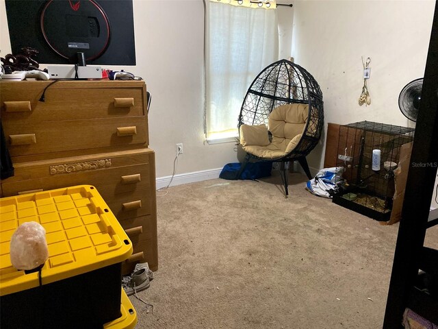 9007 49th Ave E, Palmetto, FL 34221 - carpeted bedroom featuring baseboards