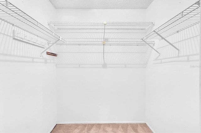 spacious closet with carpet